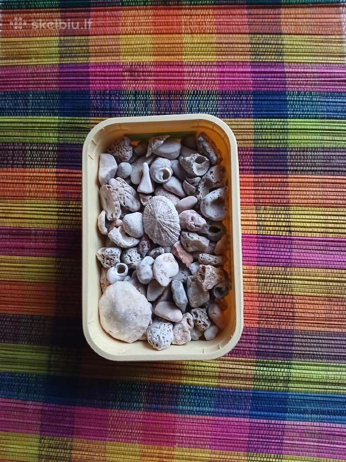 Akmenukų ir kriauklių rinkinys rankdarbiams