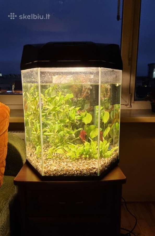 Akvariumas su įranga 60 l