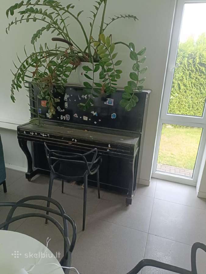Pianino
