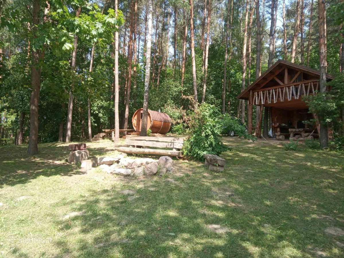 Ramus poilsis prie ežero, miške - nuotraukos Nr. 3