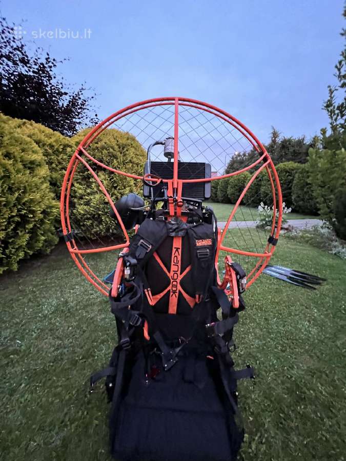 Parduodu Galinga Polini 250 parasparni su traiku - nuotraukos Nr. 2