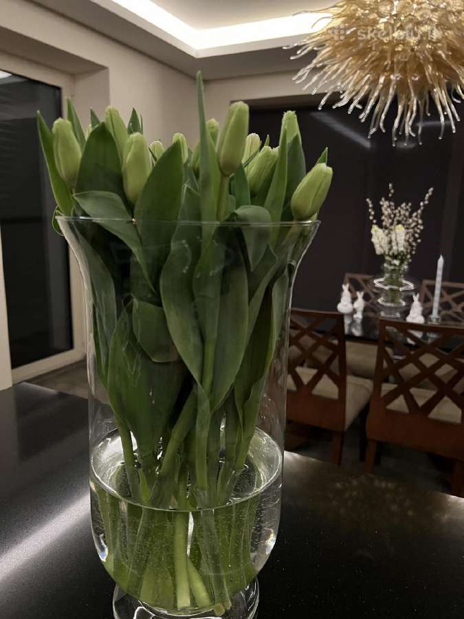 Parduodamas įrengtas namas šalia Karkles,baseinas - nuotraukos Nr. 19