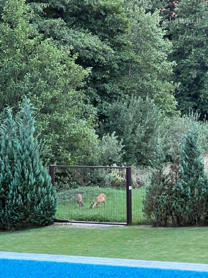 Parduodamas įrengtas namas šalia Karkles,baseinas - nuotraukos Nr. 8