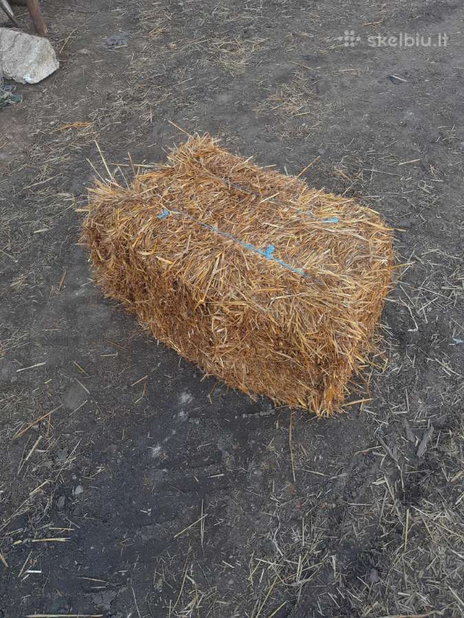 Šiaudai Šienas.traiškytos avižos.kviečiai.miežiai - nuotraukos Nr. 3