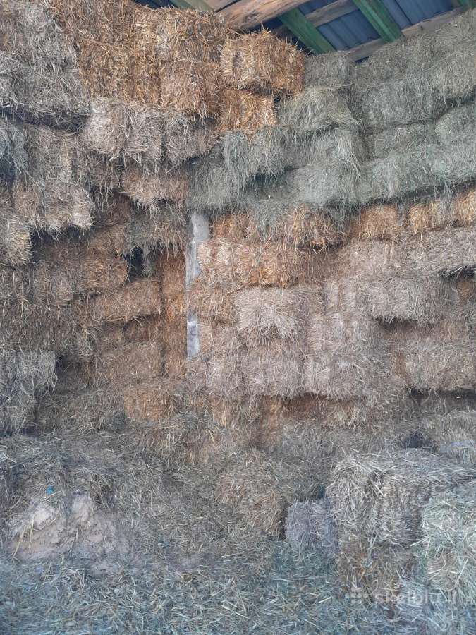 Šiaudai Šienas.traiškytos avižos.kviečiai.miežiai - nuotraukos Nr. 2