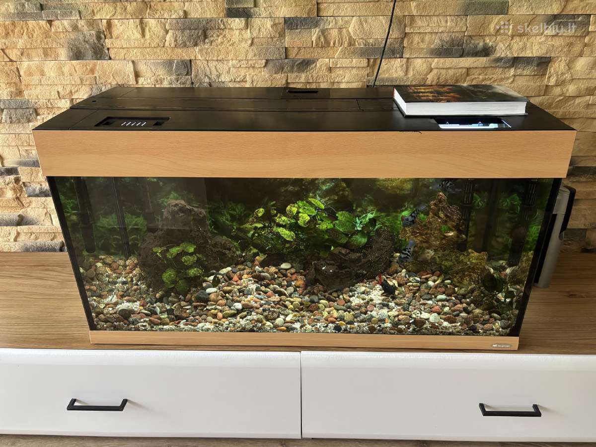 Akvariumas