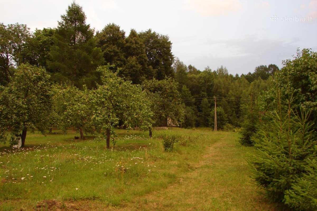 Sodo sklypas