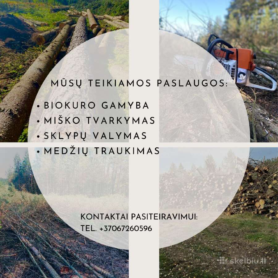 Apleistų teritorijų tvarkymas