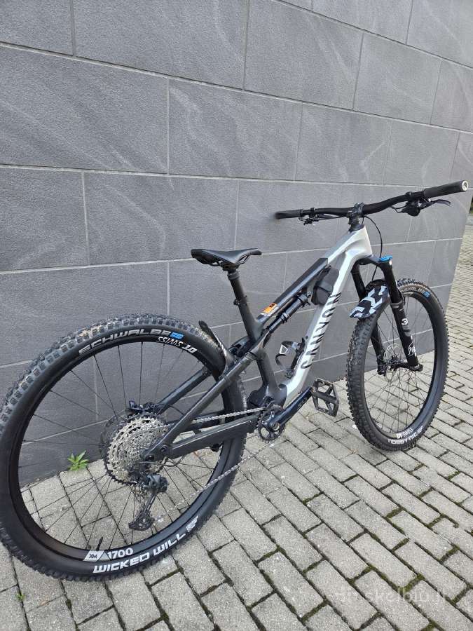 Canyon neuron Cf8