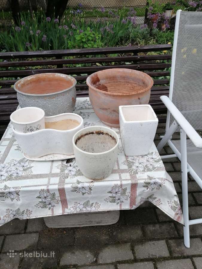 Vazonai