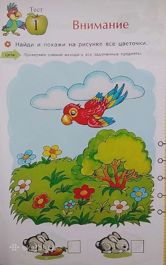 Testai nustatyti vaiko išvystymą.dėmesys Mąstymas - nuotraukos Nr. 3