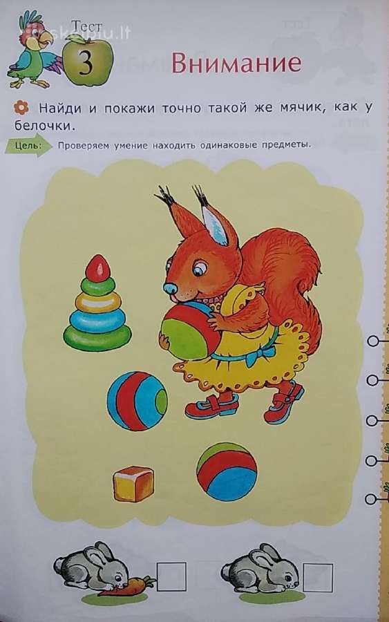 Testai nustatyti vaiko išvystymą.dėmesys Mąstymas - nuotraukos Nr. 4