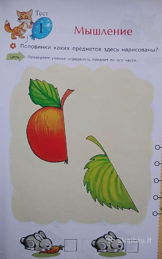 Testai nustatyti vaiko išvystymą.dėmesys Mąstymas - nuotraukos Nr. 8