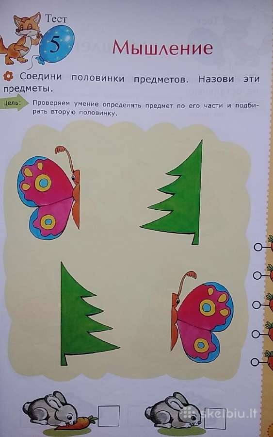Testai nustatyti vaiko išvystymą.dėmesys Mąstymas - nuotraukos Nr. 10