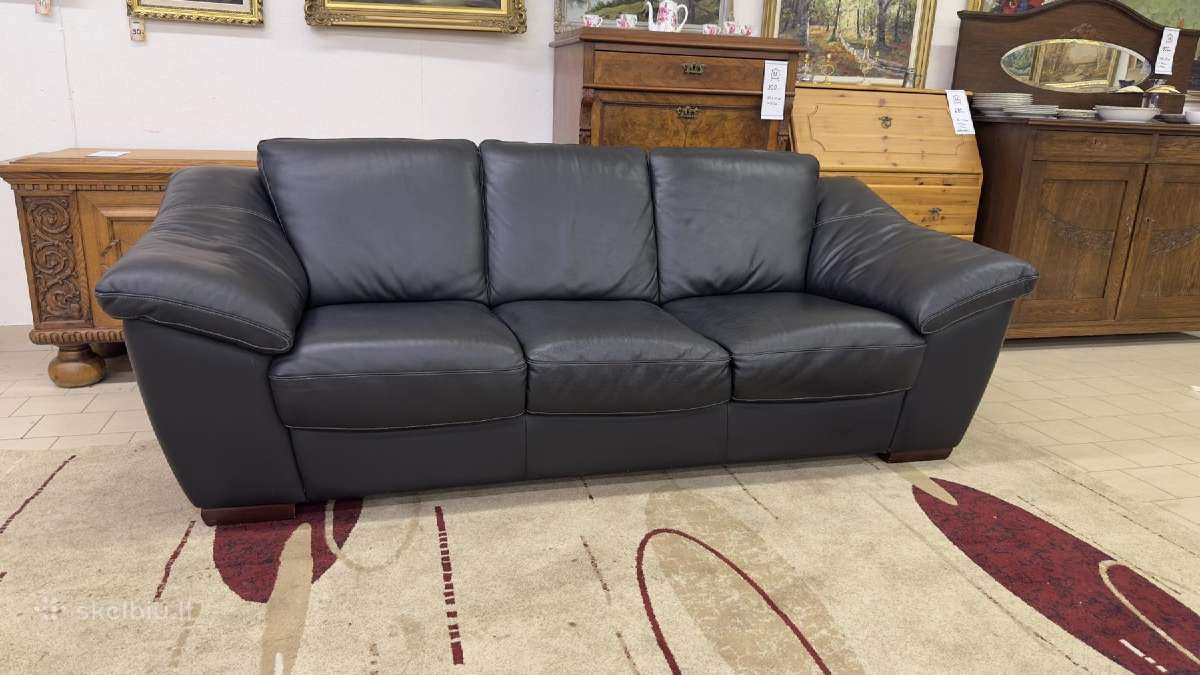 Odinė sofa