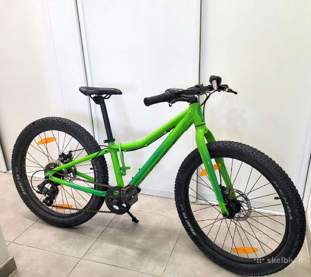 Scott Roxter 24 vaikiškas dviratis