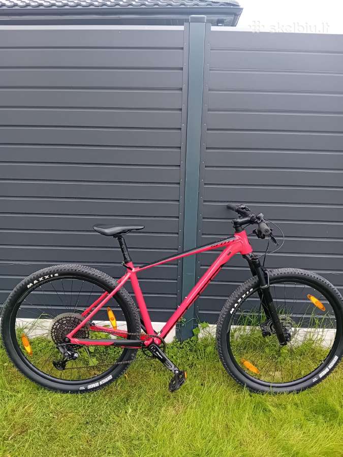 Scott Scale 29er L ir M dydziai