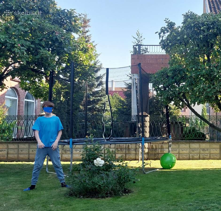 Batutas 3,05m normalios buklės