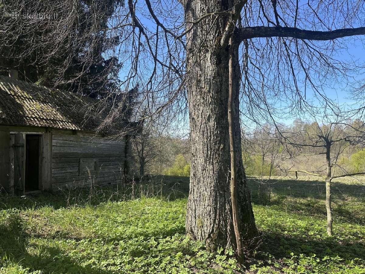 Parduodama sodyba, 1,04 ha namų valda Ukmergės raj - nuotraukos Nr. 9