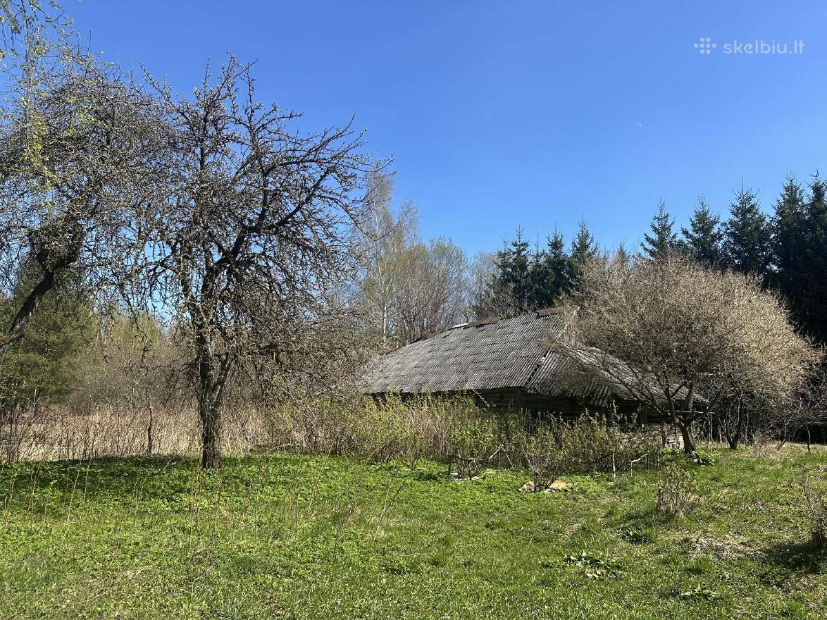 Parduodama sodyba, 1,04 ha namų valda Ukmergės raj - nuotraukos Nr. 16