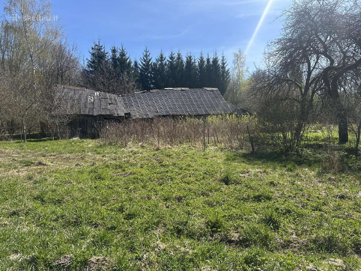 Parduodama sodyba, 1,04 ha namų valda Ukmergės raj - nuotraukos Nr. 18