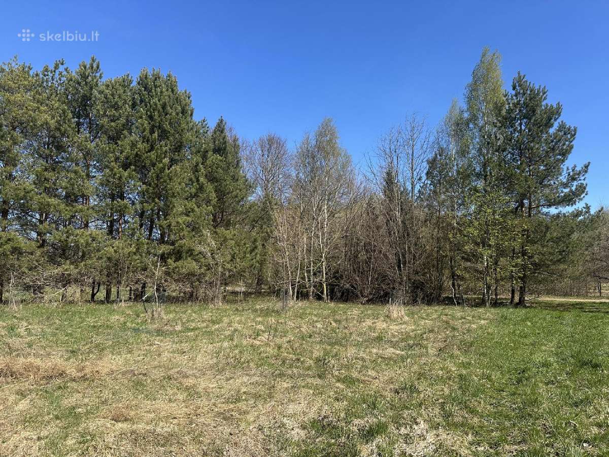 Parduodama sodyba, 1,04 ha namų valda Ukmergės raj - nuotraukos Nr. 19