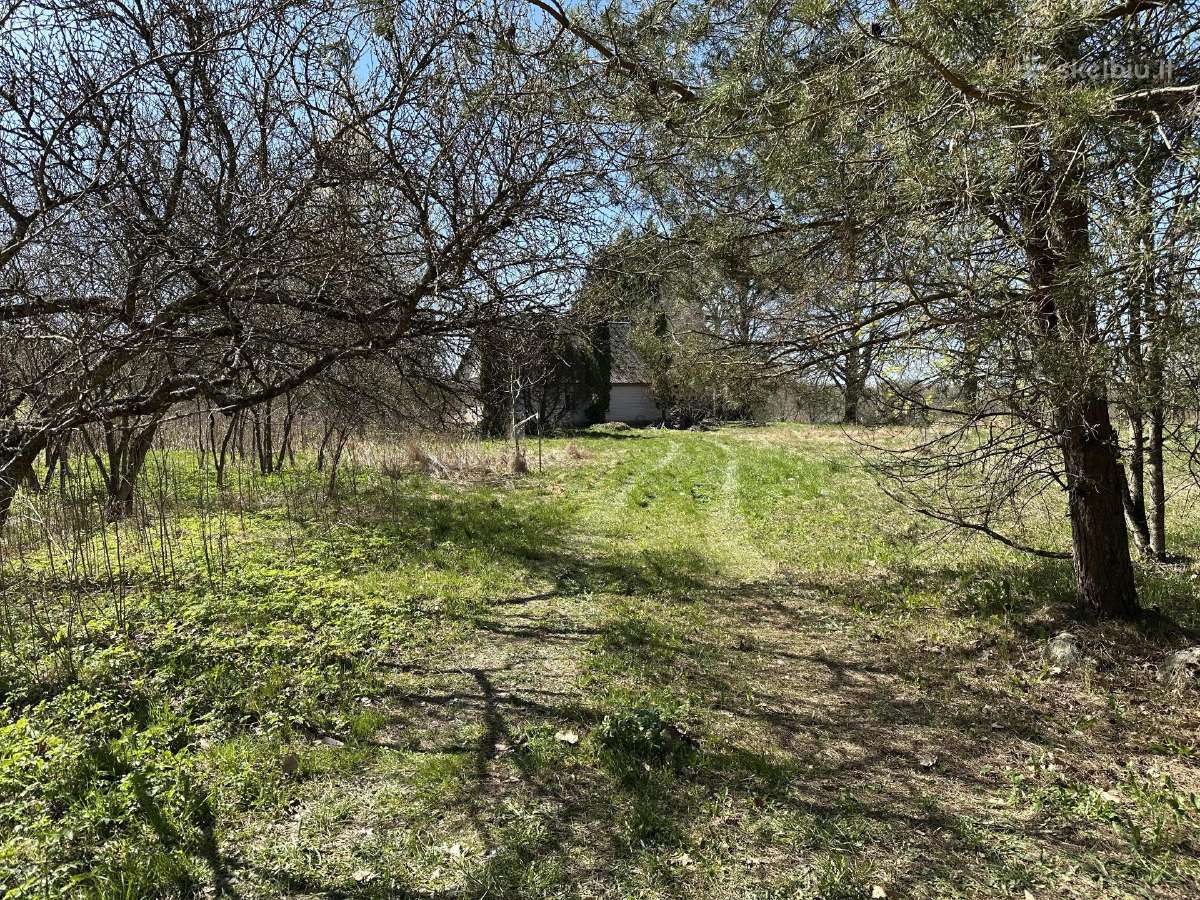 Parduodama sodyba, 1,04 ha namų valda Ukmergės raj - nuotraukos Nr. 23