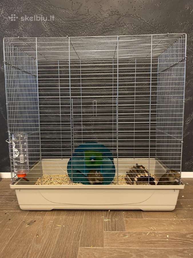 Dovanų du degu su iranga