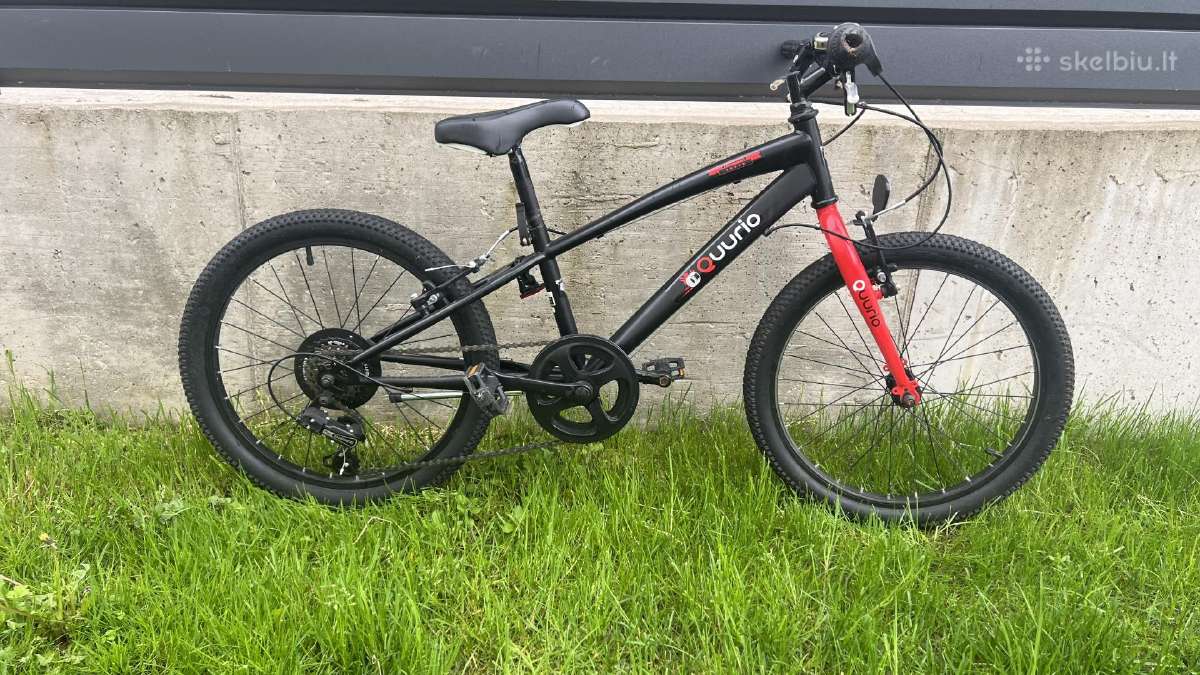 Vaikiškas dviratis Dino Bikes “quurio 5-10 metų