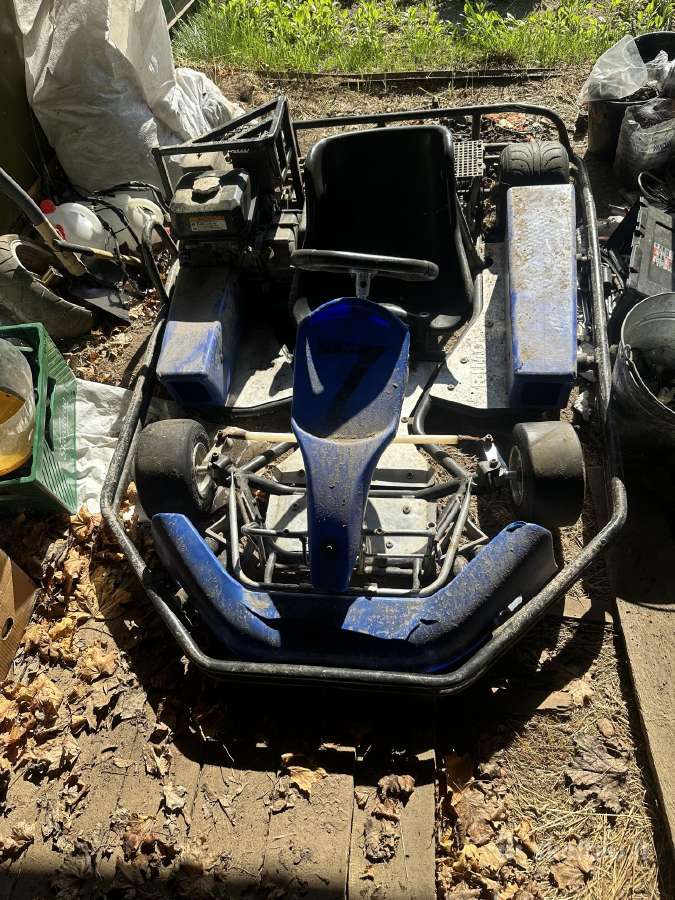 Kartingai