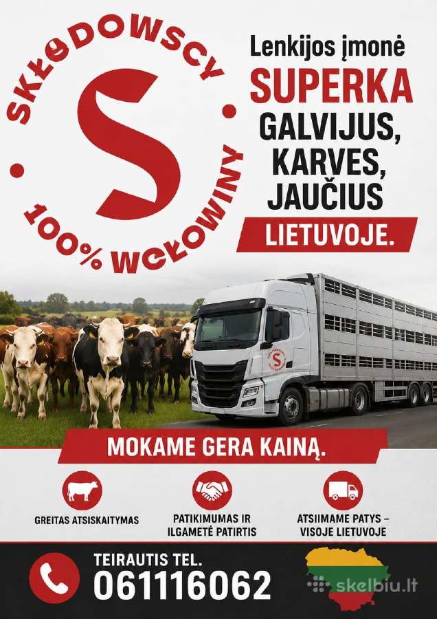 Superkame super kaina ! Galvijus Lietuvoje