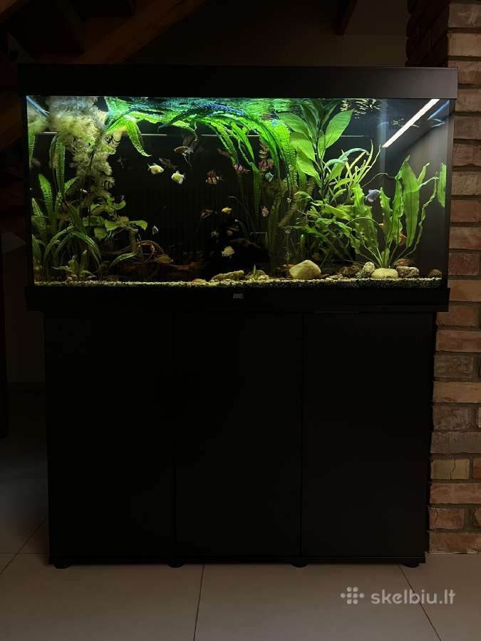 Akvariumas