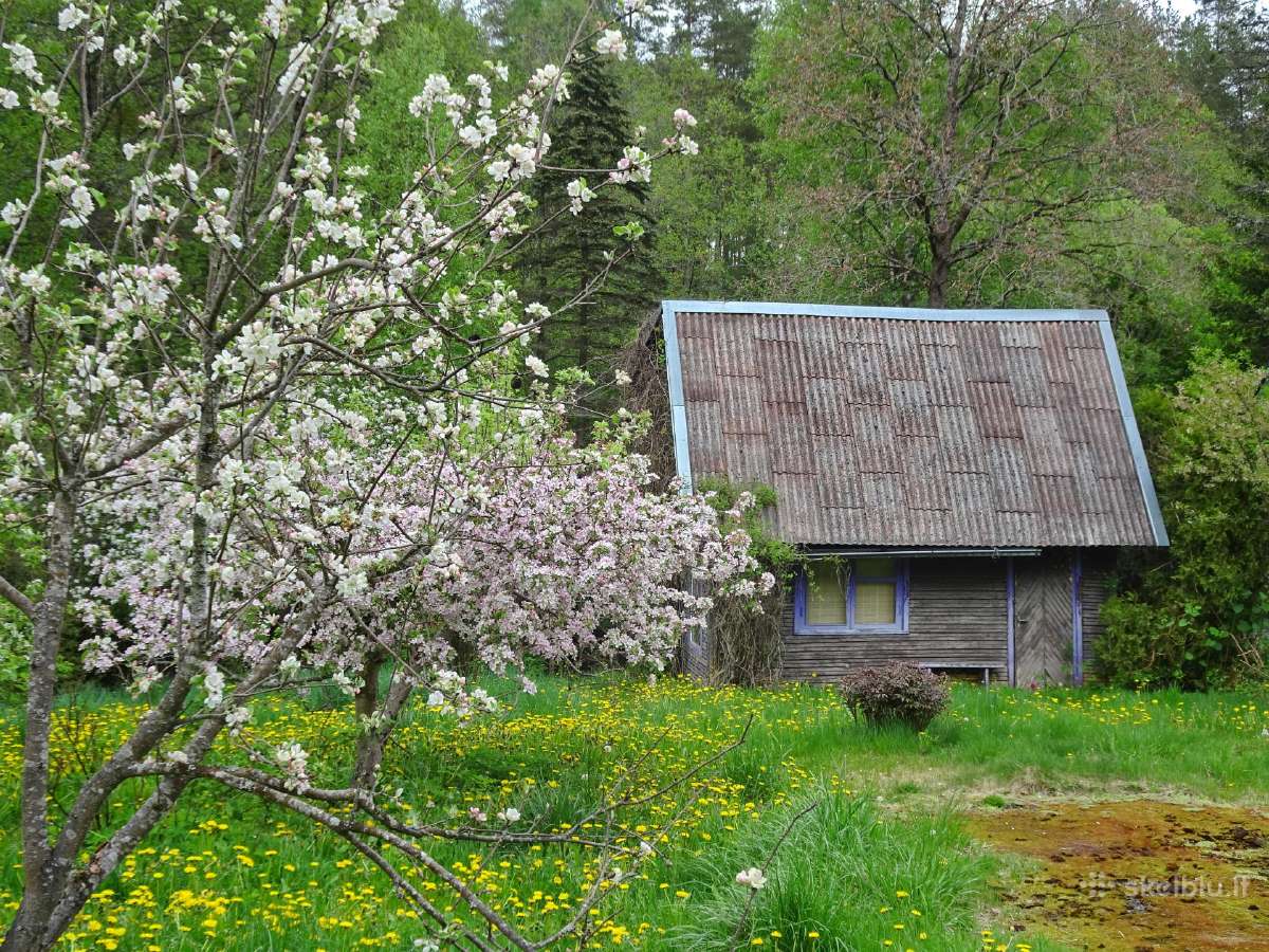 Sodo namelis su 8a sklypu prie upelio ir miško
