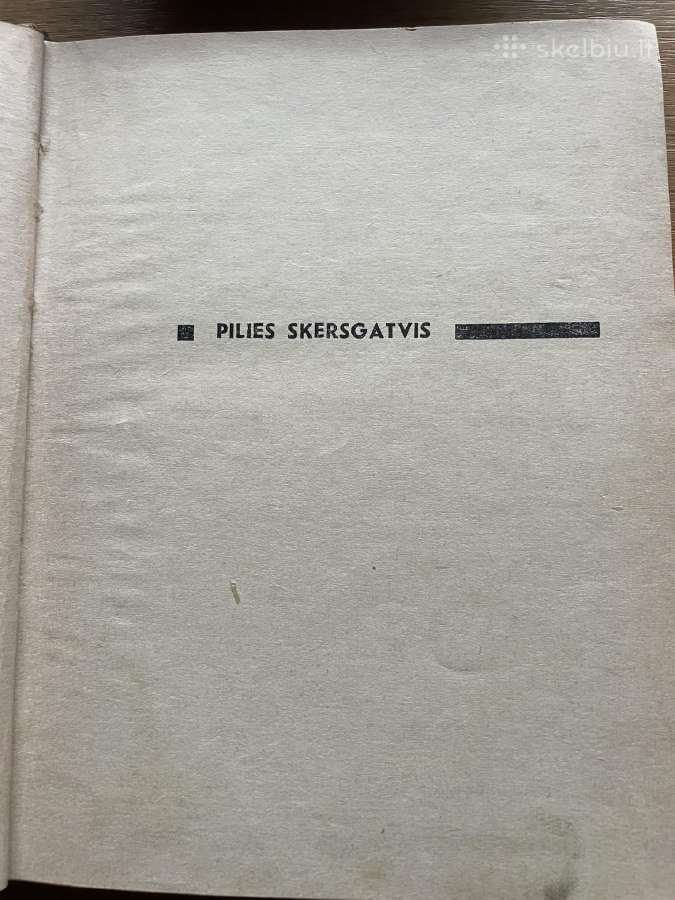 Knyga Pilies skersgatvis - nuotraukos Nr. 2