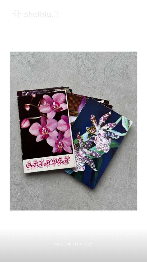 Orchidėjų atviručių rinkinys