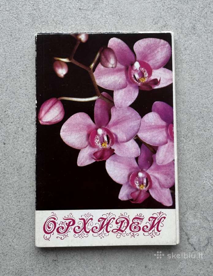 Orchidėjų atviručių rinkinys - nuotraukos Nr. 3