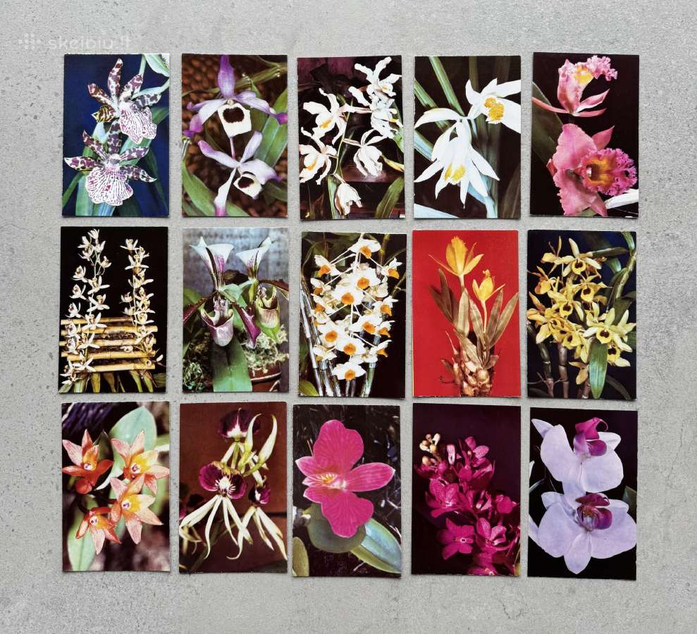 Orchidėjų atviručių rinkinys - nuotraukos Nr. 4