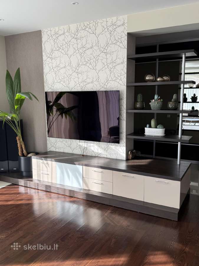 TV spintelė su lentynomis