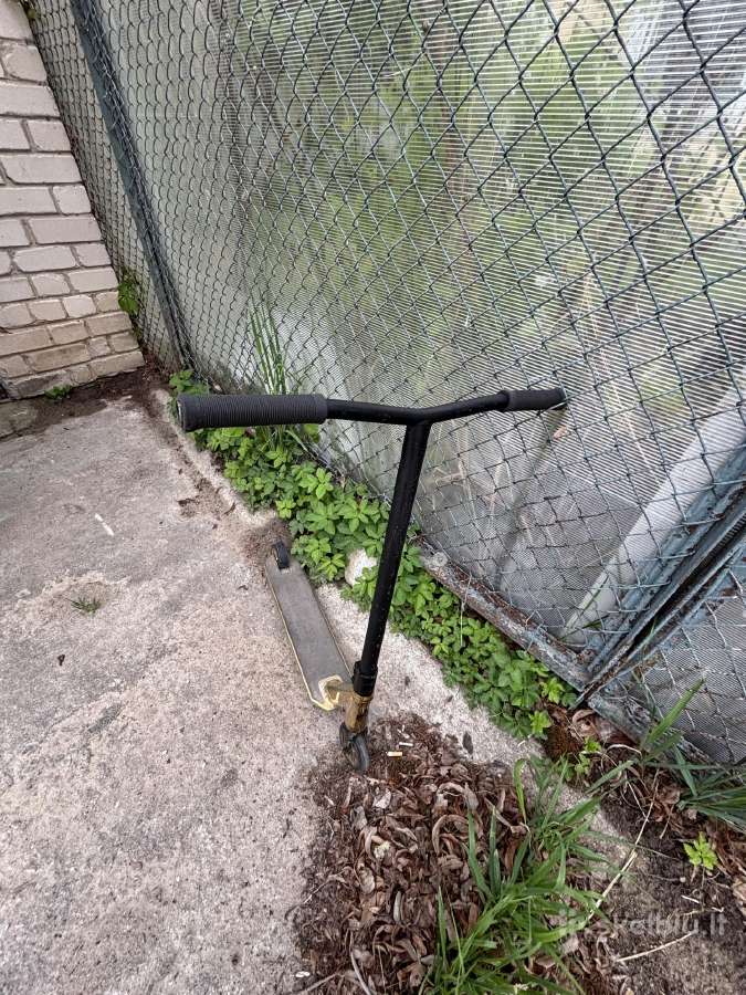 Chilli scooter