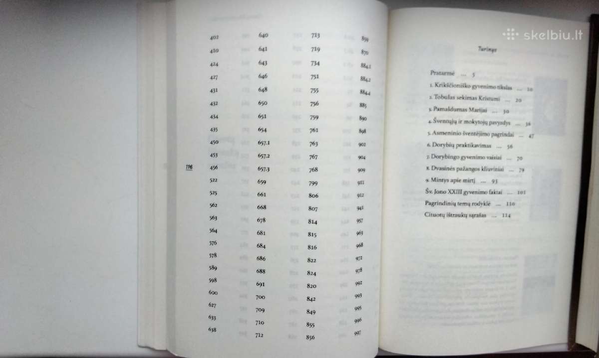Šv. Jonas XxIII. Sielos dienoraštis - nuotraukos Nr. 8