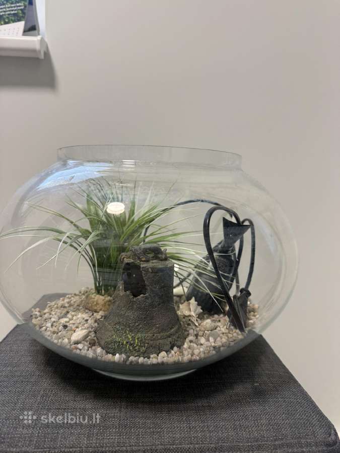 Apvalus akvariumas