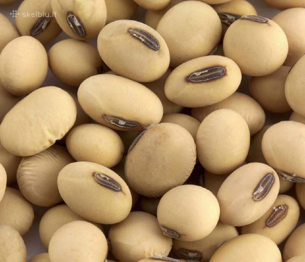Perku sojų pupeles (ne-gmo)