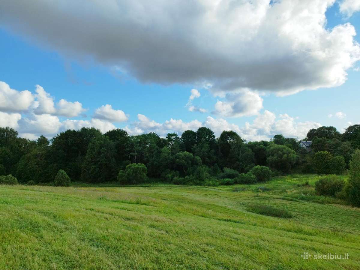 Sklypas prie Lapių k. ežero tvenkinio namų valda
