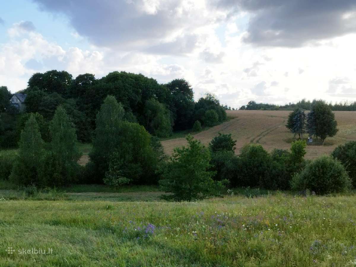 Sklypas prie Lapių k. ežero tvenkinio namų valda - nuotraukos Nr. 6