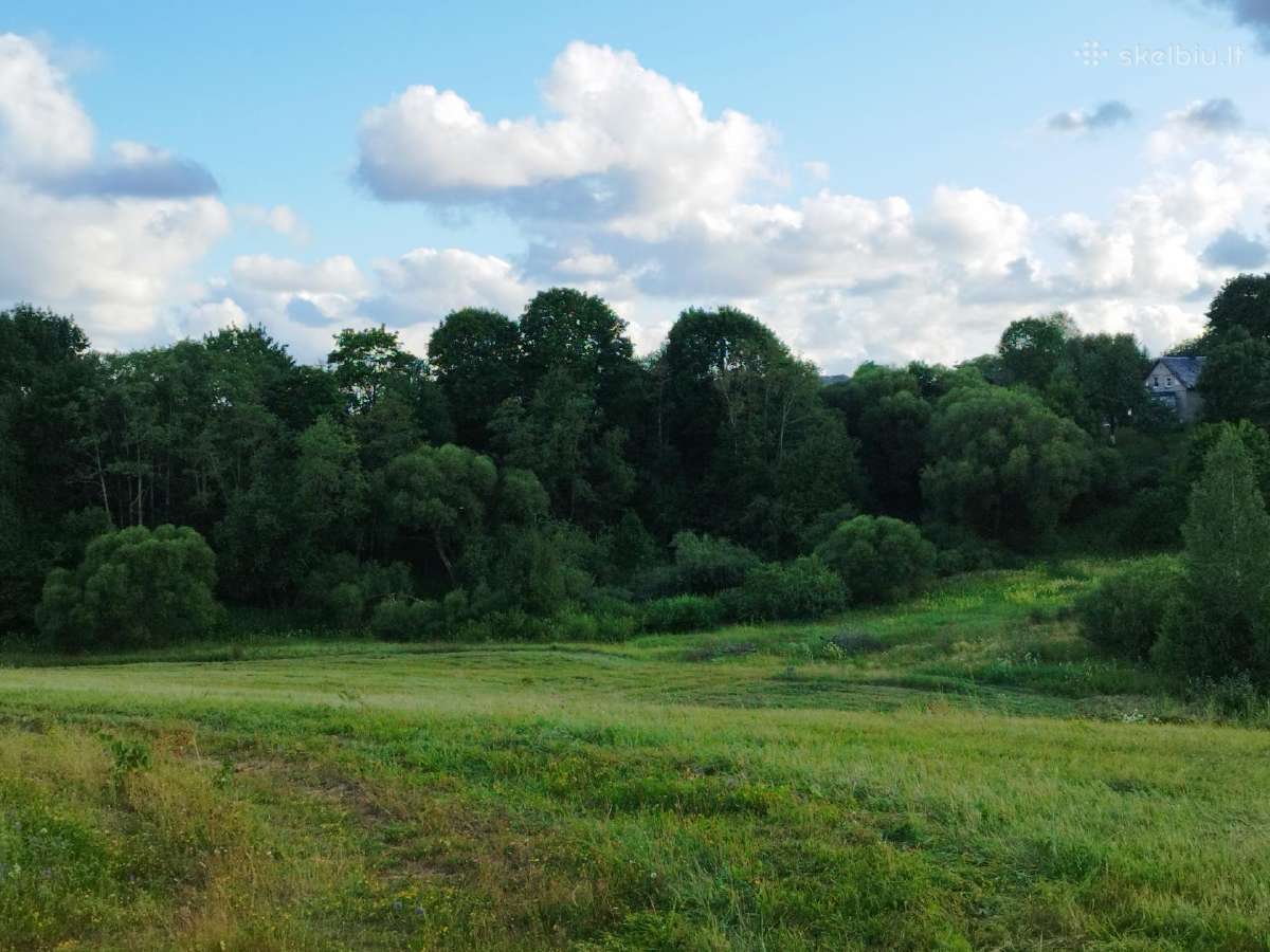 Sklypas prie Lapių k. ežero tvenkinio namų valda - nuotraukos Nr. 8