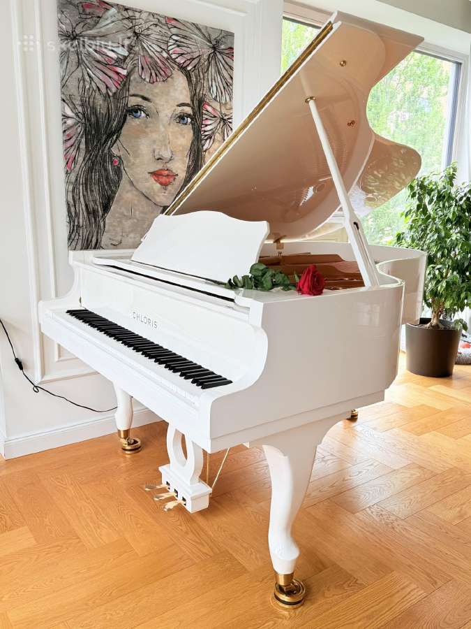Hibridinis fortepijonas Chloris su „pianodisc“