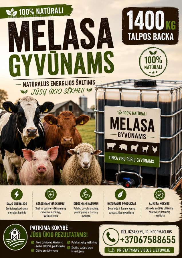 Melasas