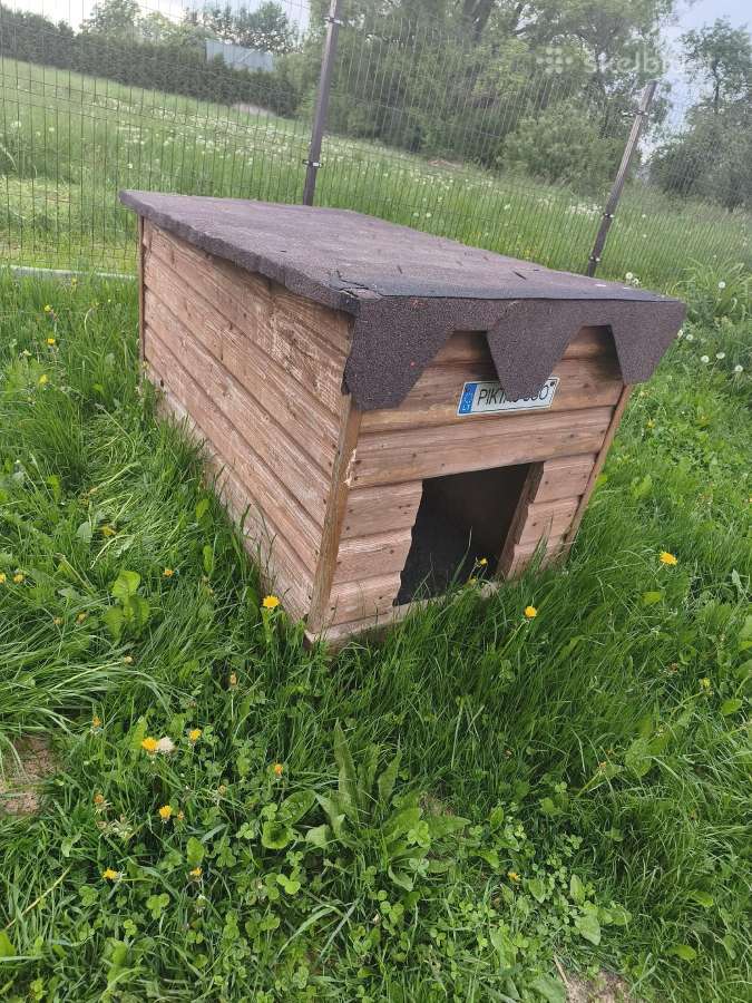 Būda dideliam šuniui