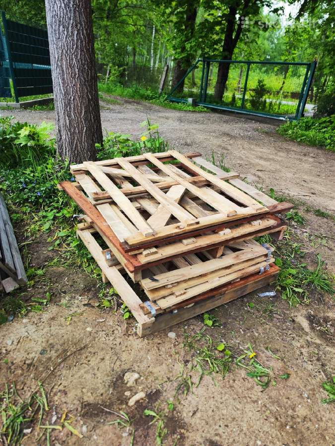 Paletės iš egzotinės medienos