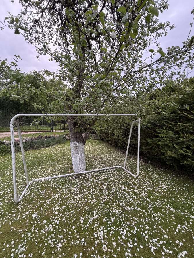 Futbolo vartai